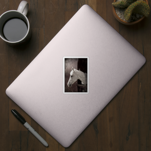 White Horse, portrait by vandokkumburg